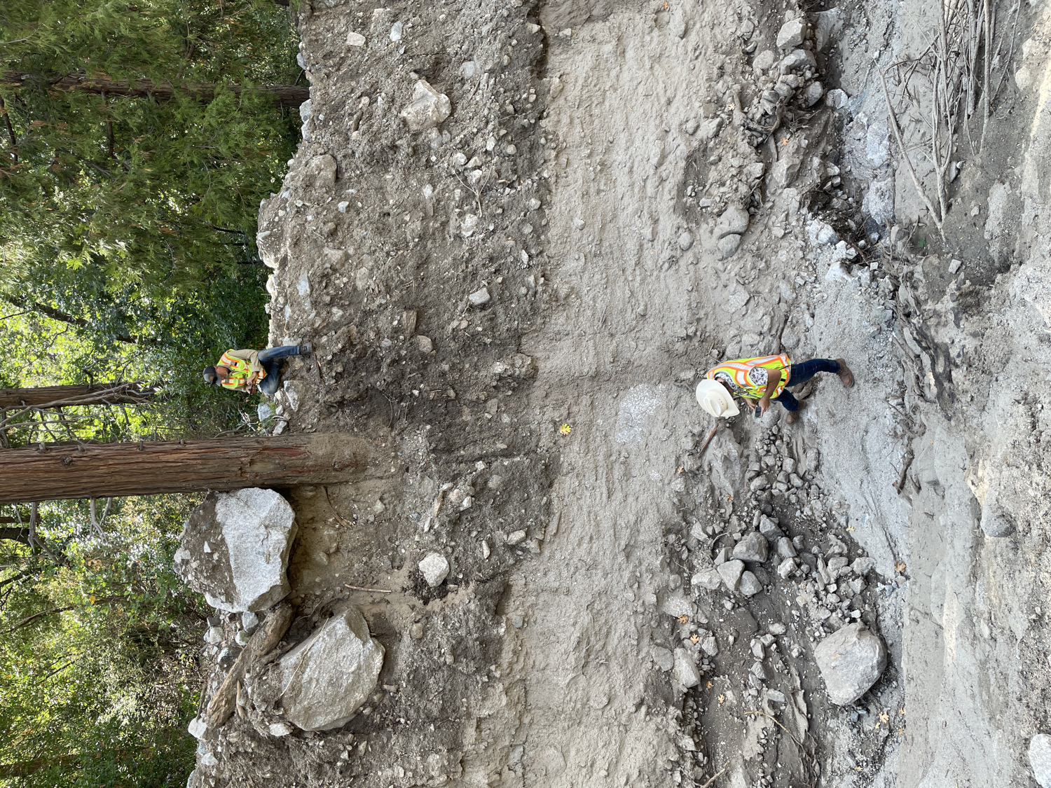 A steep channel showing evidence of recent debris flow activity.