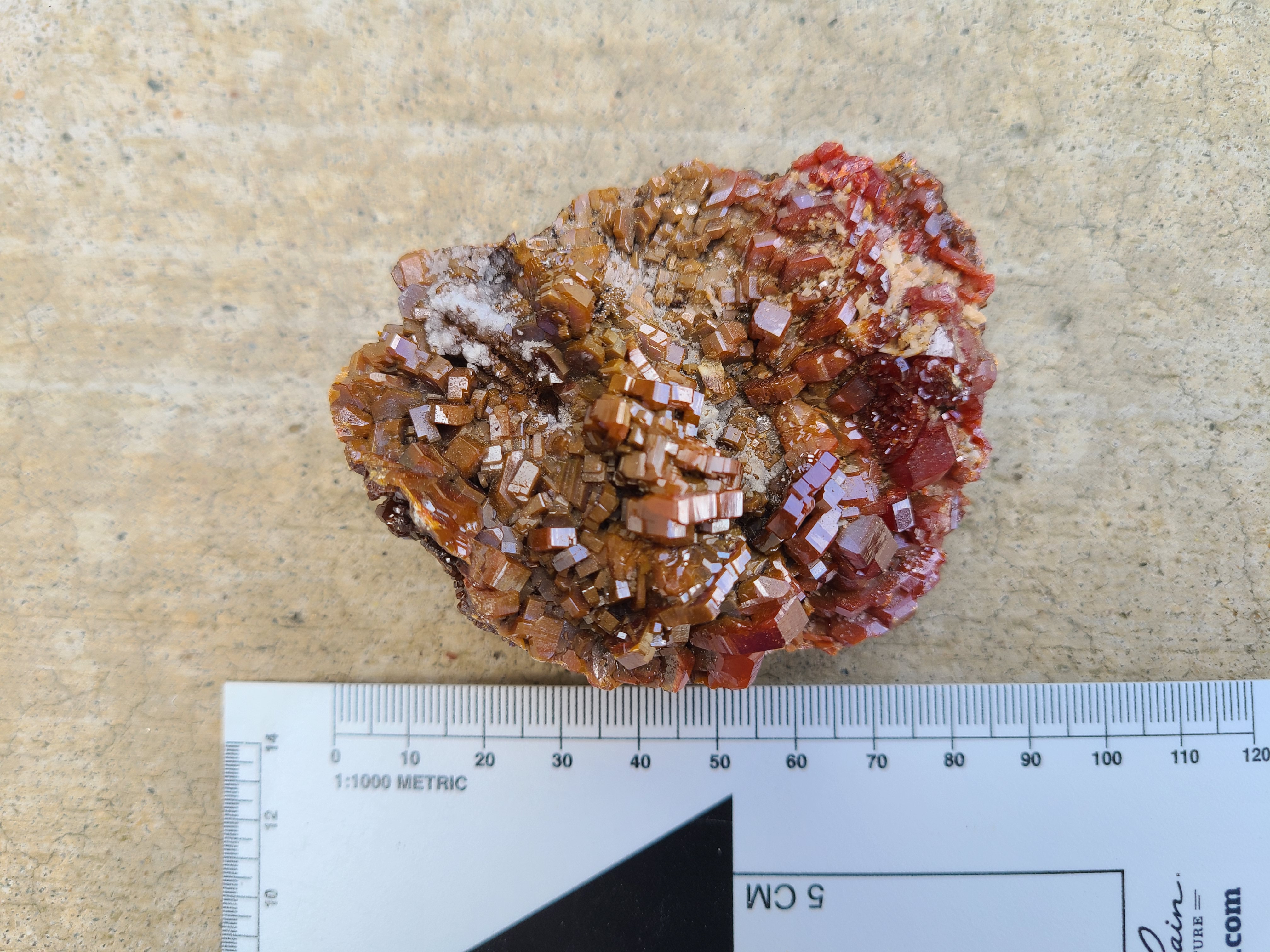 Photo of rock specimen and ruler